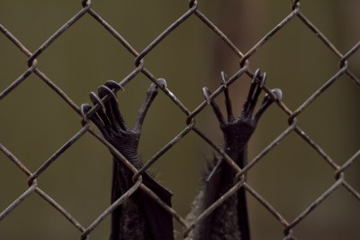 By courtesy of mistasam