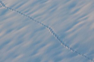 By courtesy of www.sxc.hu