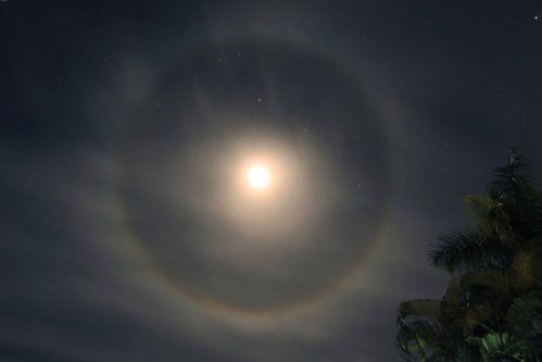 By courtesy of 10harakat.blogspot.com