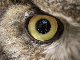 By courtesy of unitech.pk