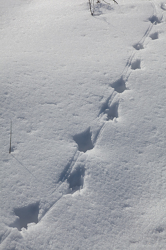 (E) By courtesy of foter.com