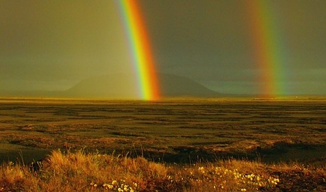 By courtesy of rainbowwebecoist.momtastic.com.