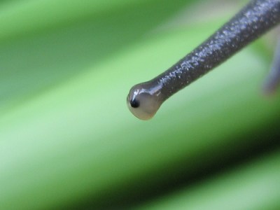 By courtesy of eyeflickrchivemind.net