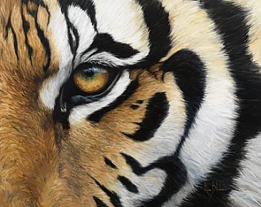 By courtesy of musingsfrommarsh.blogspot.com