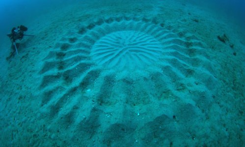 underwater-mystery-circle-8