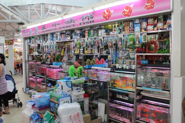 noe week before wet market 15