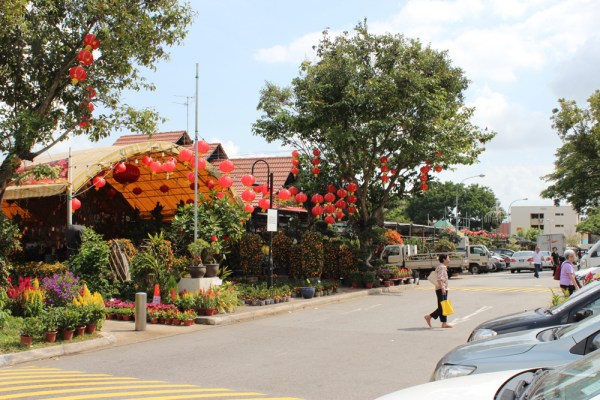 what flowers may spring choose 08