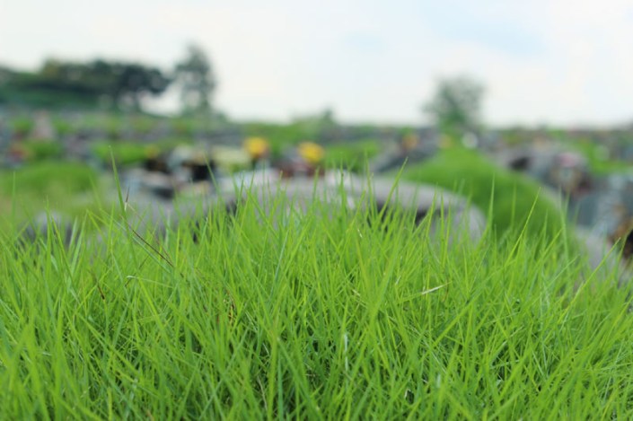 choa chu kang cemetery 04