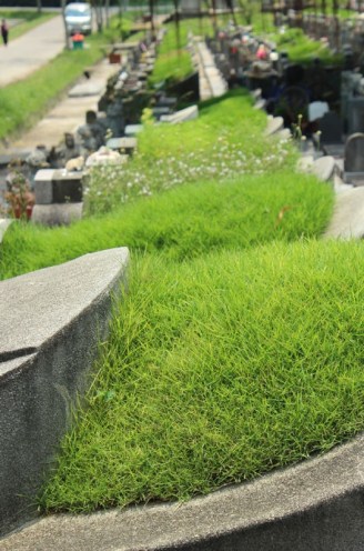 choa chu kang cemetery 05