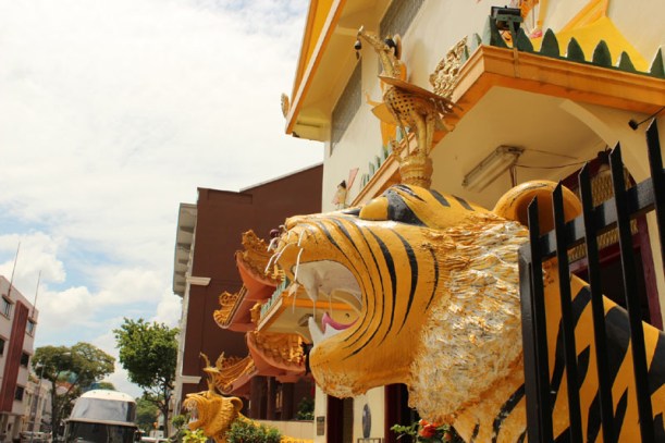 1000 lights  temple 05