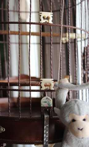 birdcage 03