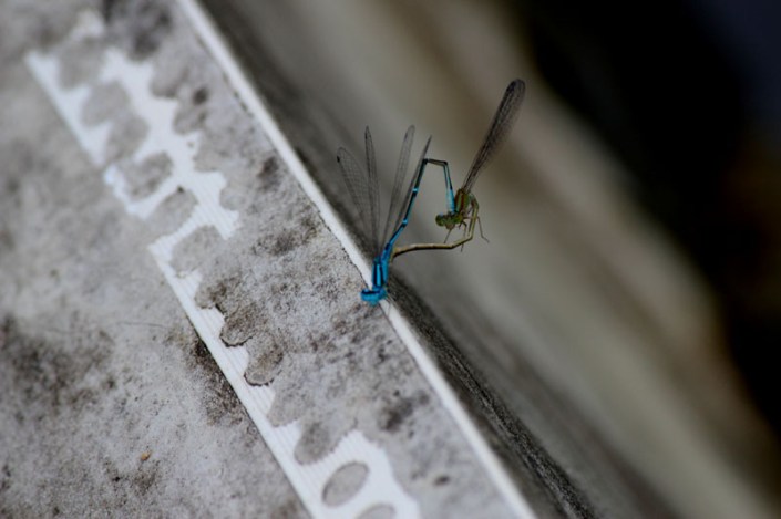 submerge boardway 04