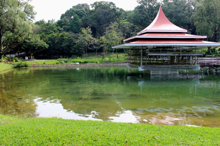 submerge boardway 09