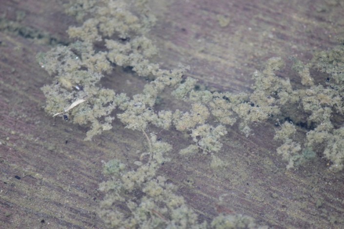 submerge boardway 10