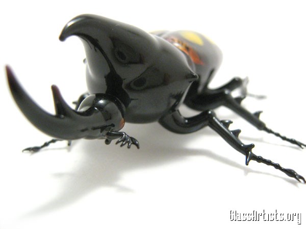 rhinoceros beetles (www.mediahex.com)