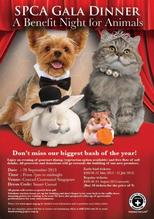 spca gala dinner  01