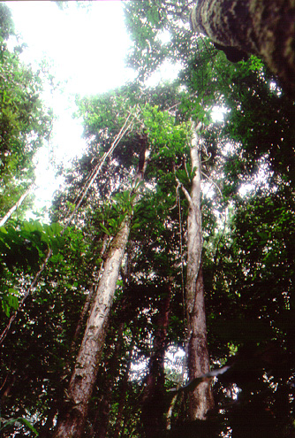 By courtesy of homepage.ntlworld.com