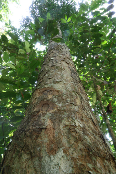 By courtesy of www.flickr.com