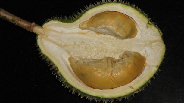 By courtesy of blog.udn.com)