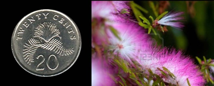 By courtesy of www.123rf.com