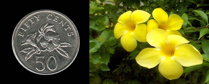 By courtesy of www.edsu.edu