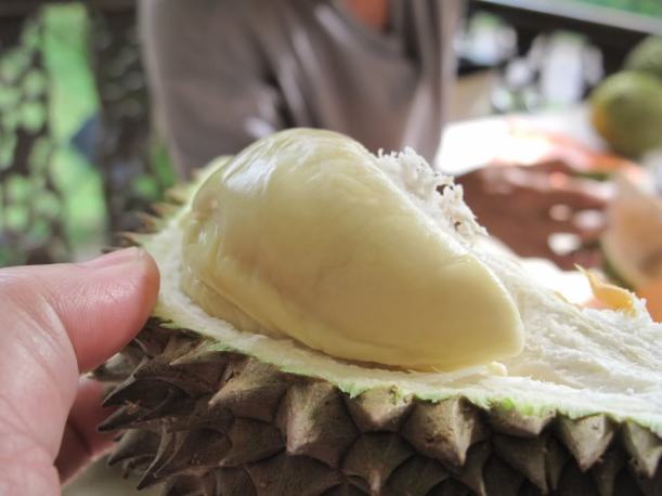 By courtesy of www.ebay.com